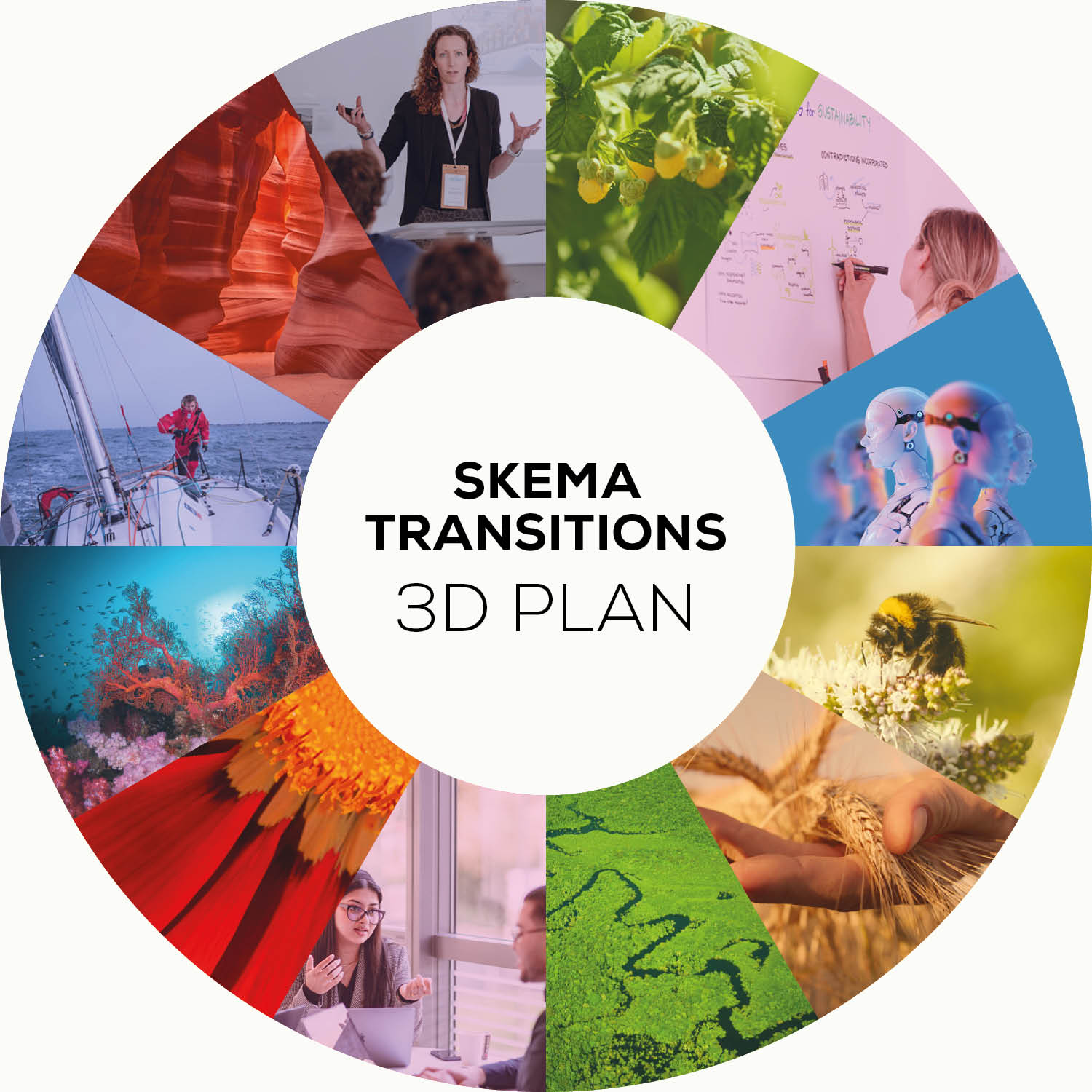 SKEMA TRANSITIONS 3D PLAN