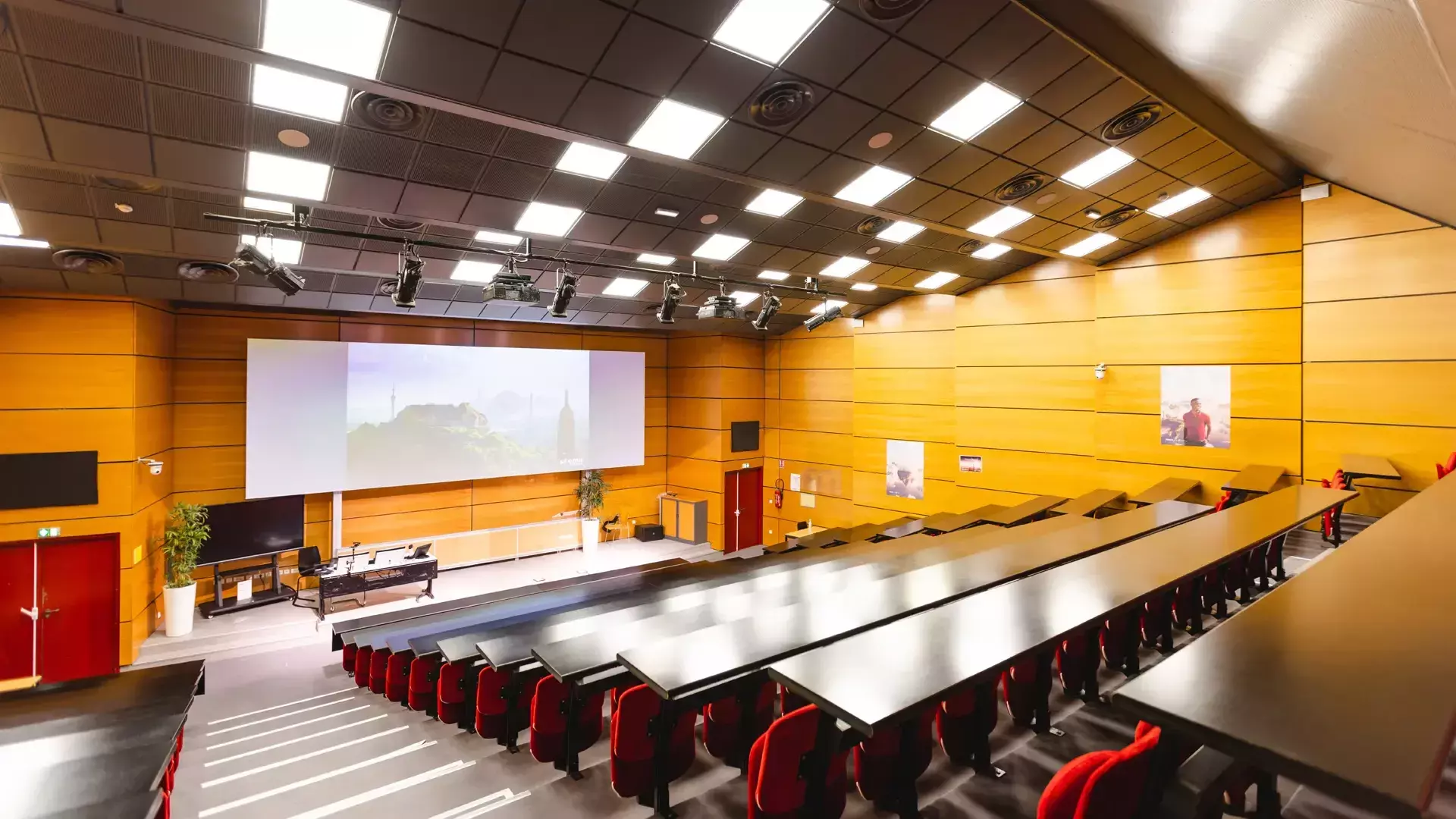 Amphi
