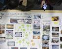 SKEMA students to participate in Fresque du Climat 2022